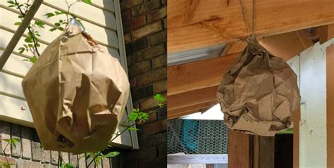 fake paper bag|paper bags and wasps.